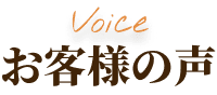 voice